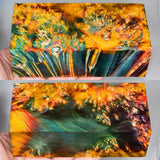 Large stabilized box elder burl wood block