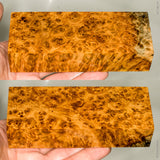 Stabilized wood golden amboyna burl block