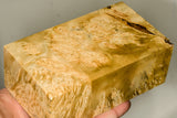 Large stabilized natural box elder burl wood block