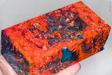 Large stabilized box elder burl wood block