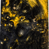 Stabilized box elder burl wood block