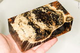 Large stabilized box elder burl wood block