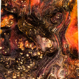 Large stabilized box elder burl wood block