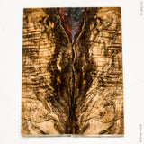 Stabilized spalted maple burl wood scales