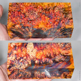 Large stabilized box elder burl wood block