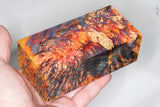 Large stabilized box elder burl wood block