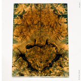 Stabilized black locust burl wood scales