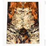 Stabilized box elder burl wood scales