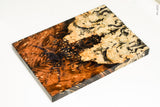 Stabilized box elder burl wood scales