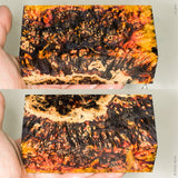 Large stabilized box elder burl wood block