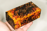 Large stabilized box elder burl wood block