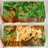 Large stabilized box elder burl wood block