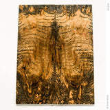 Stabilized oak burl wood scales