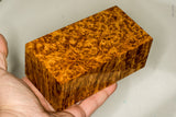 Stabilized wood golden amboyna burl block