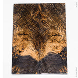 Stabilized oak burl wood scales