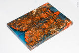 Stabilized box elder burl wood scales