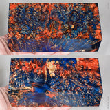 Large stabilized box elder burl wood block