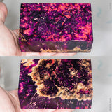 Large stabilized box elder burl wood block