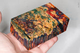 Large stabilized box elder burl wood block