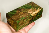 Large stabilized box elder burl wood block