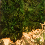 Stabilized box elder burl wood block
