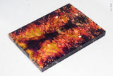 Stabilized box elder burl wood scales