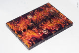Stabilized box elder burl wood scales