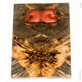 Stabilized oak burl wood scales