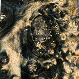 Large stabilized box elder burl wood block