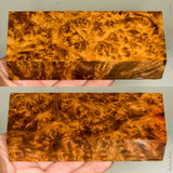 Stabilized wood golden amboyna burl block