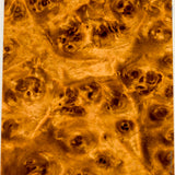 Stabilized wood golden amboyna burl block