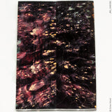 Stabilized wood box elder burl panels