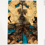 Stabilized wood hybrid buckeye burl panels
