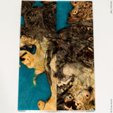 Stabilized wood hybrid buckeye burl panels