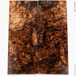 Spaulted Maple Panel Stabilized spalted bigleaf maple wood panels – Dimec wood