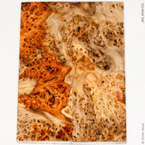 Stabilized wood box elder burl panels
